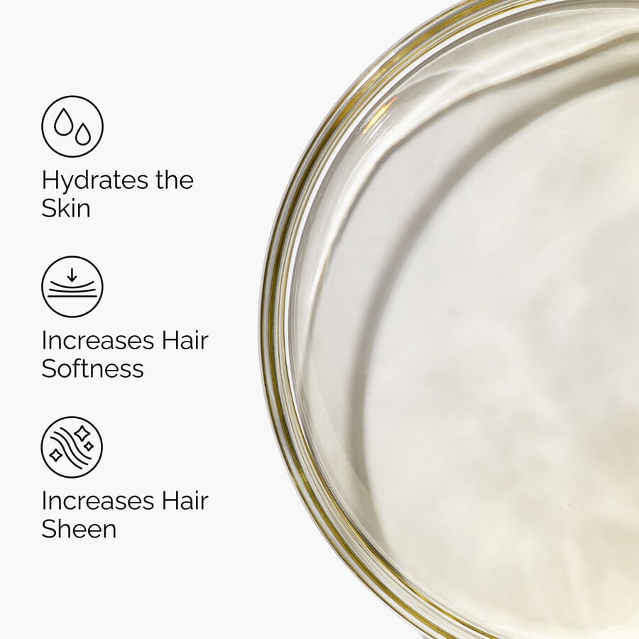100-organic-cold-pressed-moroccan-argan-oil-m6 FY25-D41247-ORD-Web-PDP-100-Argan-Oil-1x1-EN-3.jpg