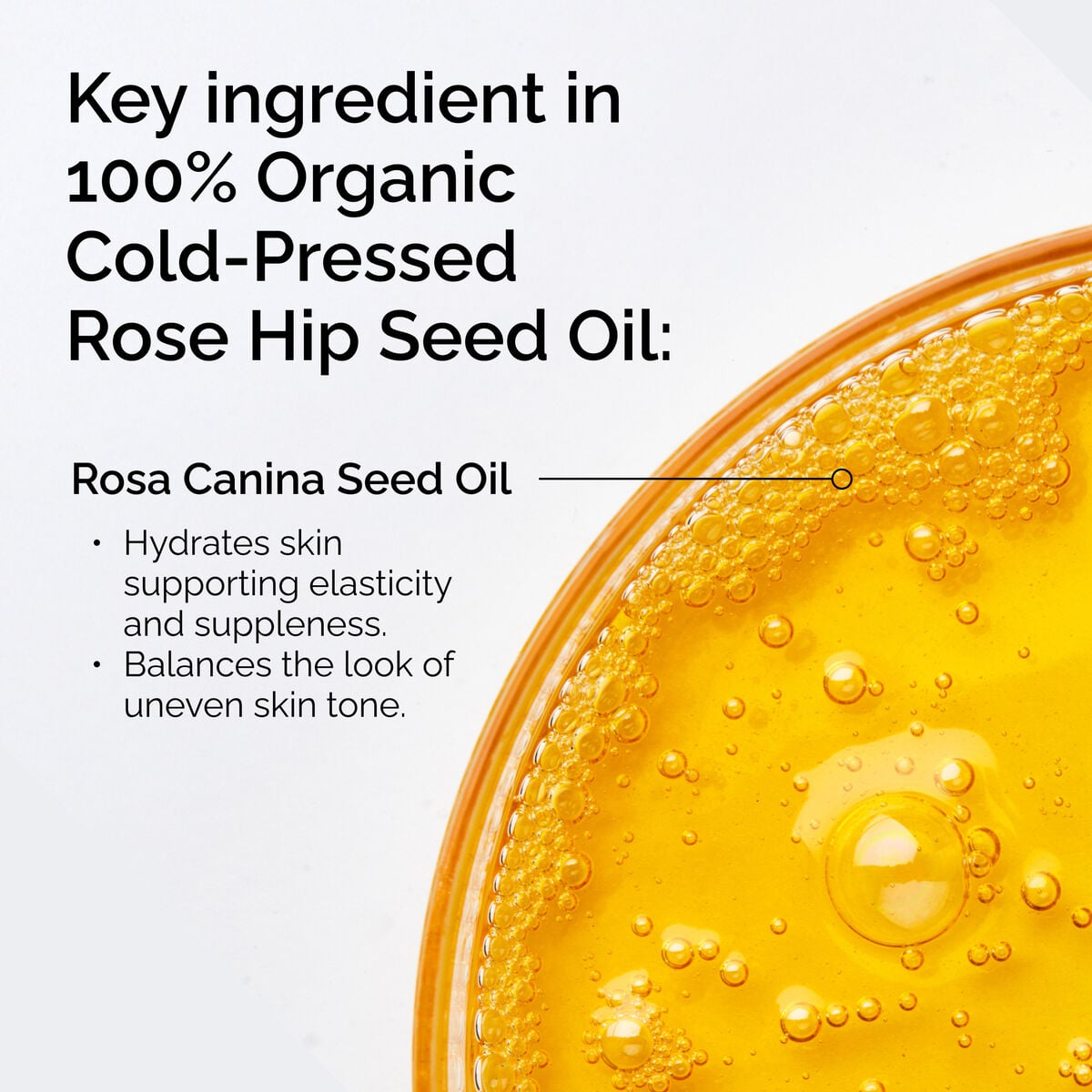100-organic-cold-pressed-rose-hip-seed-oil-f5 FY25-D41247-ORD-Web-PDP-100-Rose-Hip-Oil-1x1-EN-2.jpg