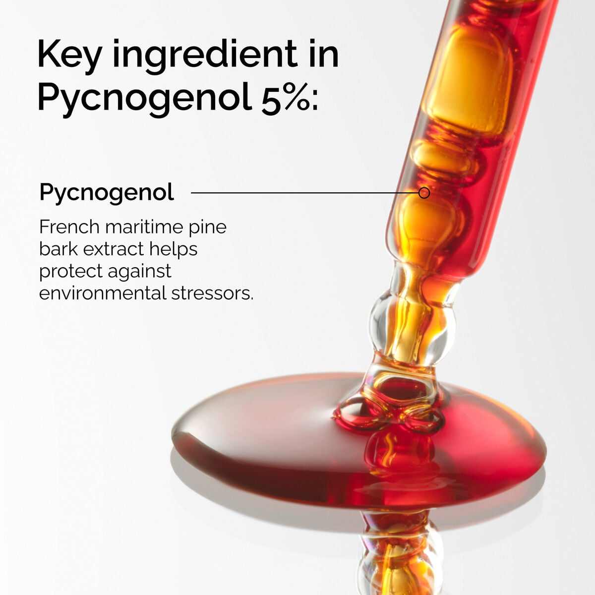 pycnogenol-5-y6 FY25-D41247-ORD-Web-PDP-Pyc-5pct-1x1-EN-2a.jpg