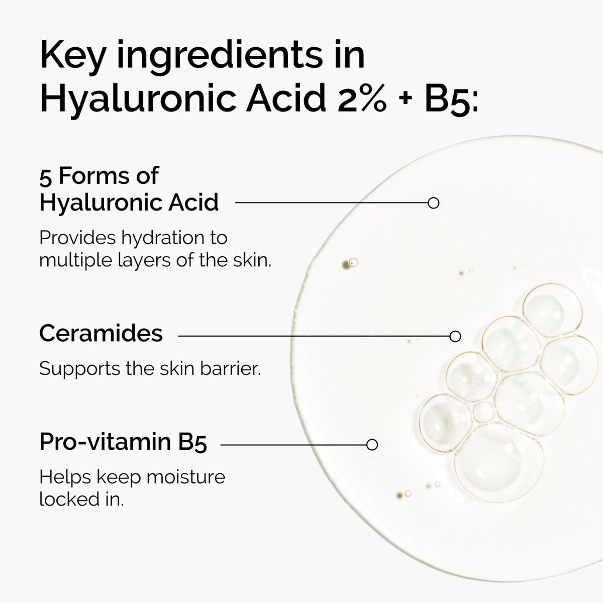 hyaluronic-acid-2-b5-with-ceramides-c3 ord-hyaluronic-acid-2pct-b5-hydrating-serum-ingredients-graphic.jpg