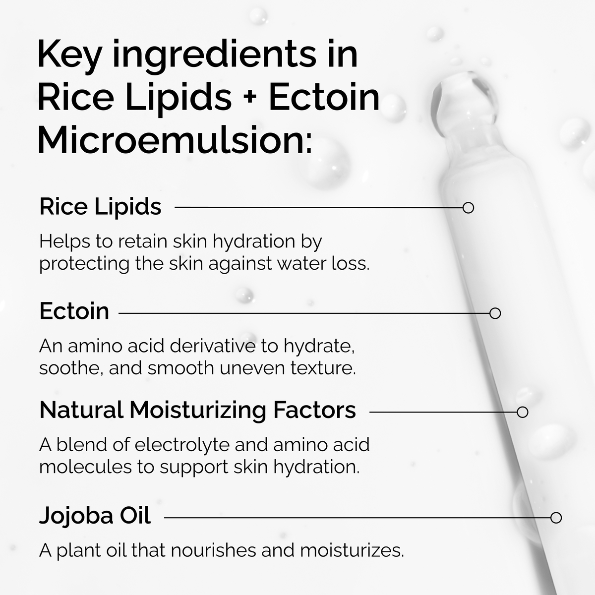 rice-lipids-ectoin-microemulsion-h8 ord-rice-lipids-ectoin-microemulsion-key-ingredients.png