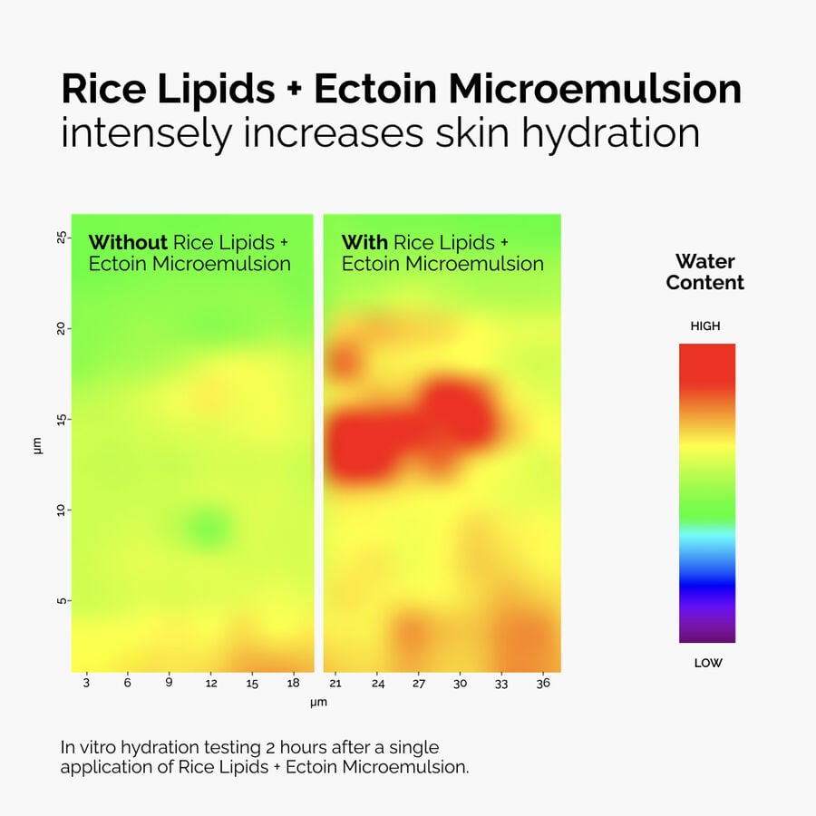rice-lipids-ectoin-microemulsion-h8 ord-rice-lipids-ectoin-microemulsion-thermal-before-after.jpg